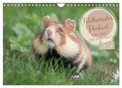Feldhamster Herbert Kleine Pfoten, große Persönlichkeit (Wandkalender 2026 DIN A4 quer), CALVENDO Monatskalender Feldhamster Herbert Kleine Pfoten, große Persönlichkeit (Wandkalender 2026 DIN A4 quer), CALVENDO Monatskalender