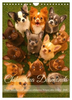 Chihuahua Diamonds - Magic Moments mit unseren schönsten Welpen aller Zeiten (Wandkalender 2026 DIN A4 hoch), CALVENDO Monatskalender Chihuahua Diamonds - Magic Moments mit unseren schönsten Welpen aller Zeiten (Wandkalender 2026 DIN A4 hoch), CALVENDO Monatskalender