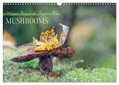 Whispers Beneath the Forest's Moss Mushrooms (Wall Calendar 2026 DIN A3 landscape), CALVENDO 12 Month Wall Calendar Whispers Beneath the Forest's Moss Mushrooms (Wall Calendar 2026 DIN A3 landscape), CALVENDO 12 Month Wall Calendar