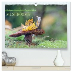 Whispers Beneath the Forest's Moss Mushrooms (High Quality Premium Wall Calendar 2026 DIN A2 landscape),CALVENDO 12 Month Wall Calendar Whispers Beneath the Forest's Moss Mushrooms (High Quality Premium Wall Calendar 2026 DIN A2 landscape),CALVENDO 12 Month Wall Calendar
