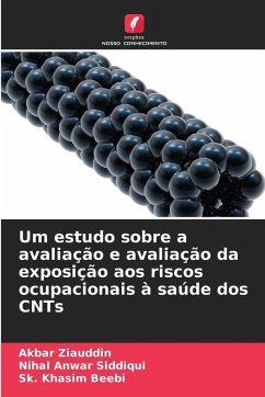 Cover Um estudo sobre a avaliação e avaliação da exposição aos riscos ocupacionais à saúde dos CNTs