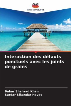 Interaction des défauts ponctuels avec les joints de grains - Khan, Babar Shahzad;Hayat, Sardar Sikandar
