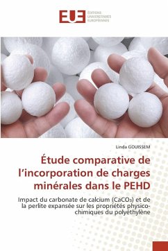 Étude comparative de l'incorporation de charges minérales dans le PEHD - Gouissem, Linda