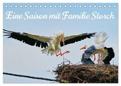 Eine Saison mit Familie Storch (Tischkalender 2026 DIN A5 quer), CALVENDO Monatskalender