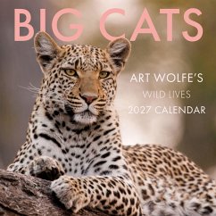 Cover 2027 Big Cats Wall Calendar