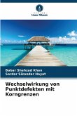 Wechselwirkung von Punktdefekten mit Korngrenzen
