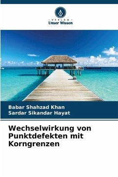 Cover Wechselwirkung von Punktdefekten mit Korngrenzen