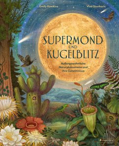 Cover Supermond und Kugelblitz