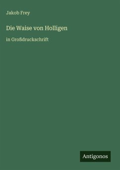 Cover Die Waise von Holligen