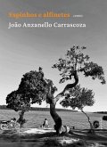 Espínhos e alfinetes (eBook, ePUB)