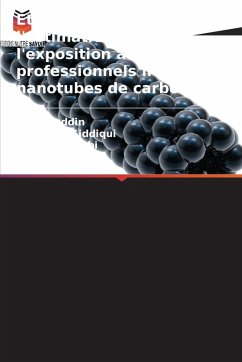 Cover Étude sur l'évaluation et l'estimation de l'exposition aux risques professionnels liés aux nanotubes de carbone