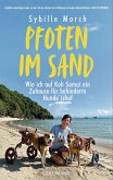 Pfoten im Sand