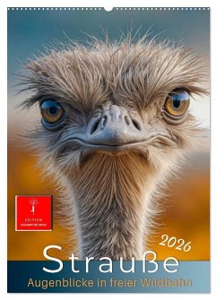 Strauße - Augenblicke in freier Wildbahn (Wandkalender 2026 DIN A2 hoch), CALVENDO Monatskalender