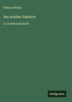Cover Der schöne Valentin