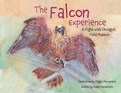 Cover The Falcon Experience