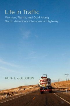 Life in Traffic - Goldstein, Ruth E.