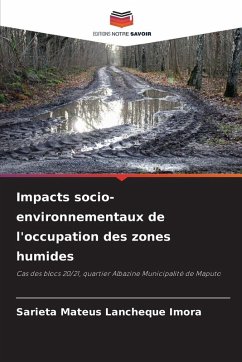 Cover Impacts socio-environnementaux de l'occupation des zones humides