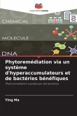 Phytoremédiation via un système d'hyperaccumulateurs et de bactéries bénéfiques Phytoremédiation via un système d'hyperaccumulateurs et de bactéries bénéfiques