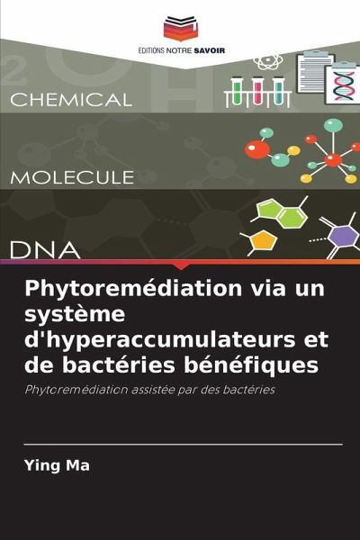 Phytoremédiation via un système d'hyperaccumulateurs et de bactéries bénéfiques