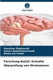 Forschung Assist: Schnelle Überprüfung von Hirntumoren Forschung Assist: Schnelle Überprüfung von Hirntumoren