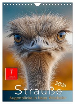 Strauße - Augenblicke in freier Wildbahn (Wandkalender 2026 DIN A4 hoch), CALVENDO Monatskalender