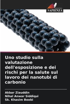 Cover Uno studio sulla valutazione dell'esposizione e dei rischi per la salute sul lavoro dei nanotubi di carbonio