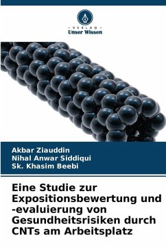 Cover Eine Studie zur Expositionsbewertung und -evaluierung von Gesundheitsrisiken durch CNTs am Arbeitsplatz