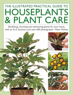 Cover The Illustrated Practical Guide to Houseplants & Plant Care