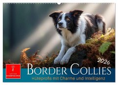 Border Collies Hüteprofis (Wandkalender 2026 DIN A2 quer), CALVENDO Monatskalender Cover Border Collies Hüteprofis (Wandkalender 2026 DIN A2 quer), CALVENDO Monatskalender