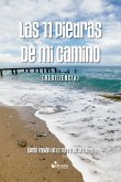 Las 11 piedras de mi camino (eBook, ePUB)
