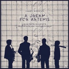 Cover A Dream For Artemis