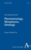 Phenomenology, Metaphysics, Ontology (eBook, PDF)