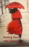 Seeing Past the Storm (eBook, ePUB)