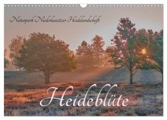 Naturpark Niederlausitzer Heidelandschaft - Heideblüte (Wandkalender 2026 DIN A3 quer), CALVENDO Monatskalender