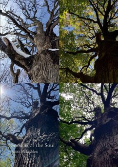 Seasons of the Soul - McLachlen, Robin