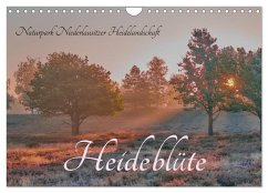 Naturpark Niederlausitzer Heidelandschaft - Heideblüte (Wandkalender 2026 DIN A4 quer), CALVENDO Monatskalender