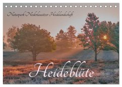Naturpark Niederlausitzer Heidelandschaft - Heideblüte (Tischkalender 2026 DIN A5 quer), CALVENDO Monatskalender