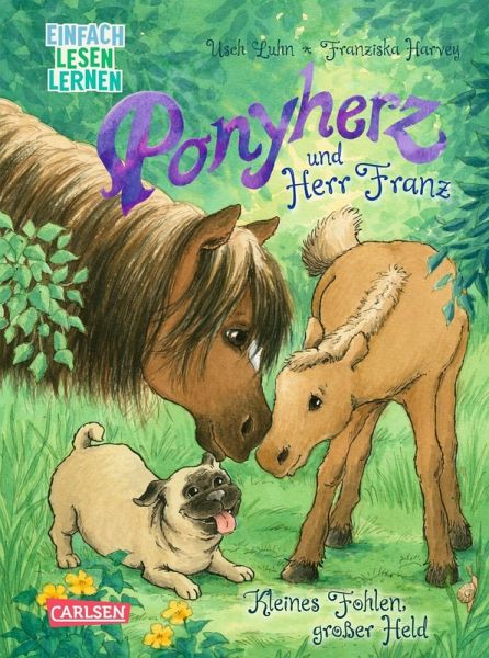 Ponyherz und Herr Franz