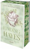 Magnolia Falls 5: Finding Hayes