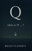 Q: What is IT ...? (eBook, ePUB)