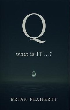 Cover Q: What is IT ...? (eBook, ePUB)