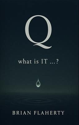 Q: What is IT ...? (eBook, ePUB) Q: What is IT ...? (eBook, ePUB)