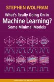 What's Really Going On in Machine Learning? Some Minimal Models (eBook, ePUB)