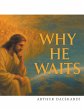 WHY HE WAITS (eBook, ePUB) - Bild 1