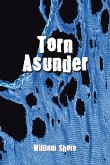 Torn Asunder (eBook, ePUB)