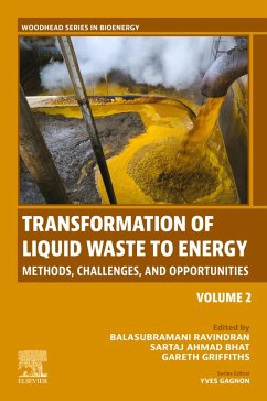 Transformation of Liquid Waste to Energy (eBook, ePUB)