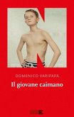 Il giovane caimano (eBook, ePUB)