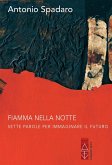 Fiamma nella notte (eBook, ePUB)
