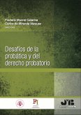 Desafíos de la probática y del derecho probatorio (eBook, PDF)
