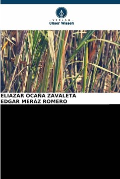 Cover ZUCKERKANONE Saccharum officinarum DIE BESTE TRAUBE DER WELT